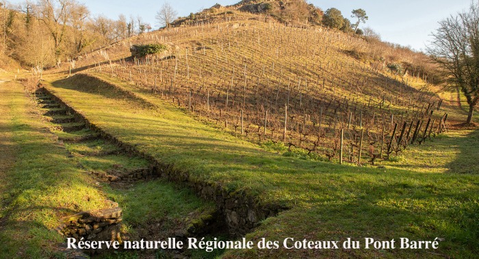 Ciné doc RÉSERVE NATURELLE RÉGIONALE DES COTEAUX DU PONT BARRÉ